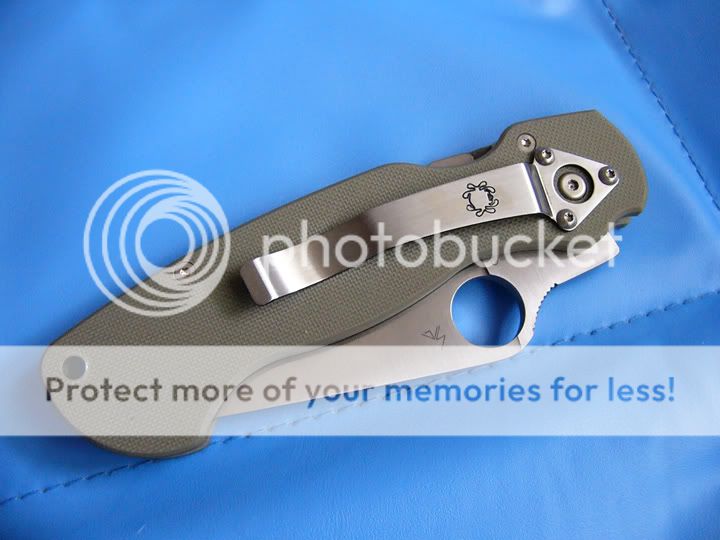 D2Paramilitary3.jpg