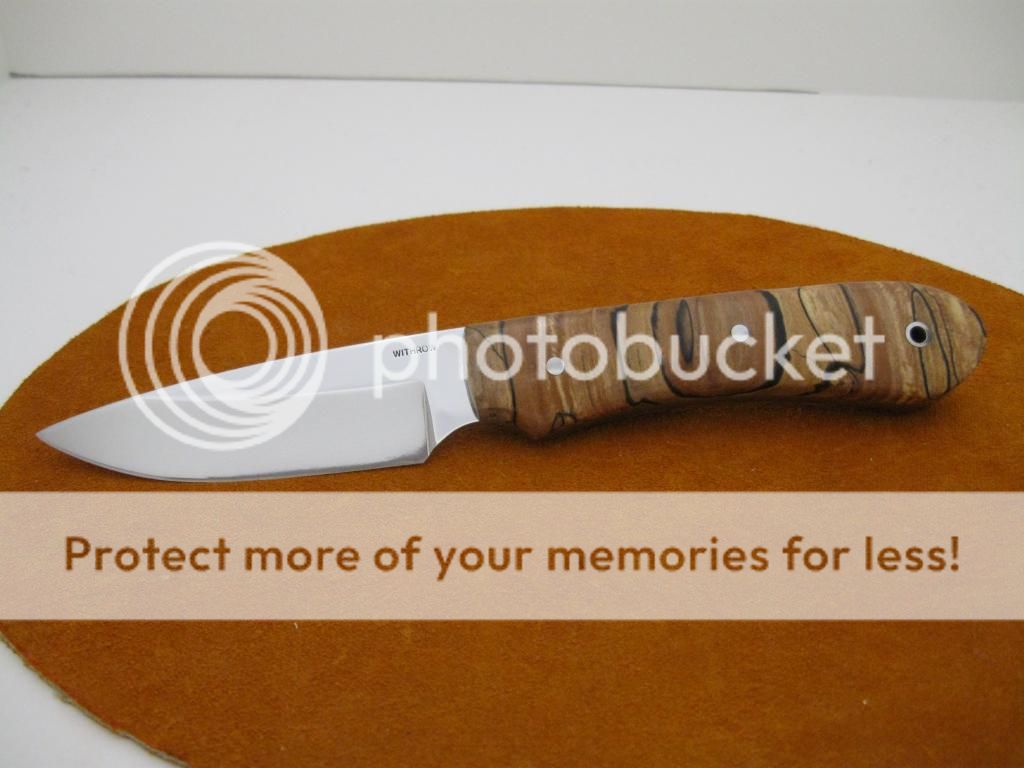 IMG_1354_zpsc62ac96e.jpg