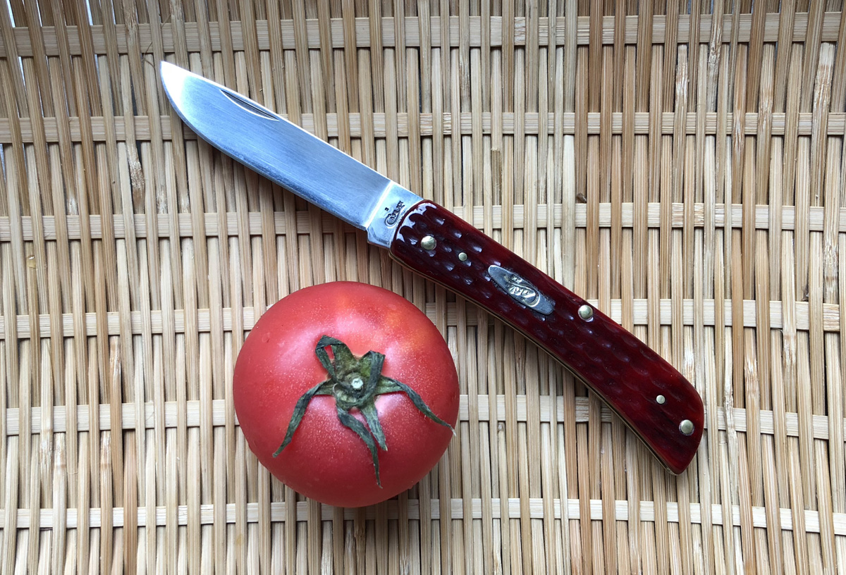Case_tomato.JPG