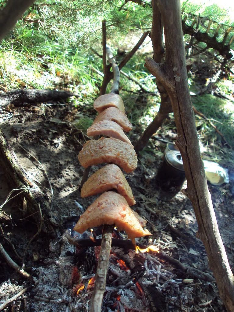 DSC00951.jpg