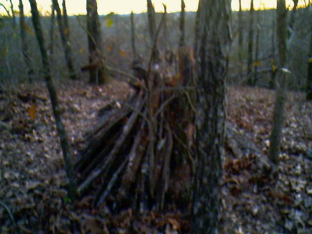 IMG00952.jpg