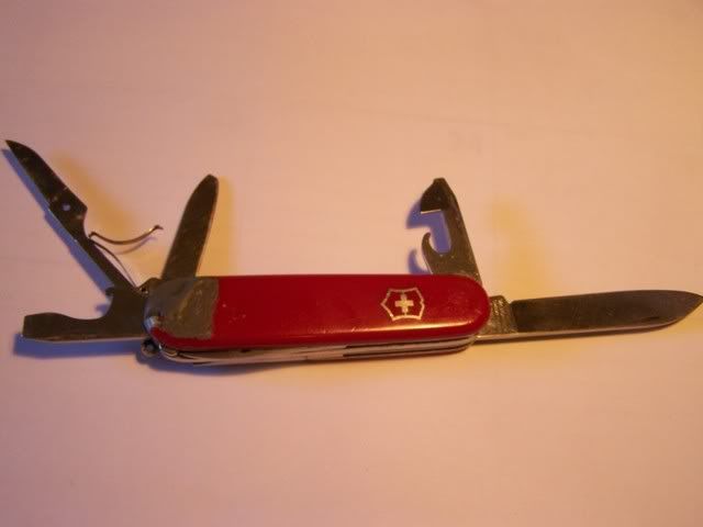 sak2.jpg