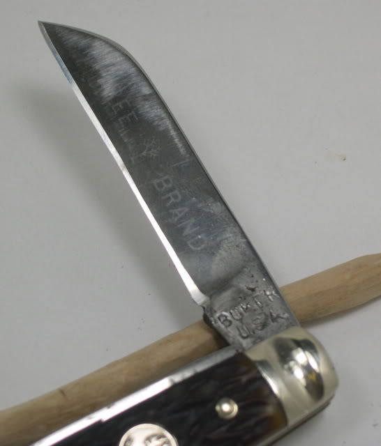 DSCN2554.jpg