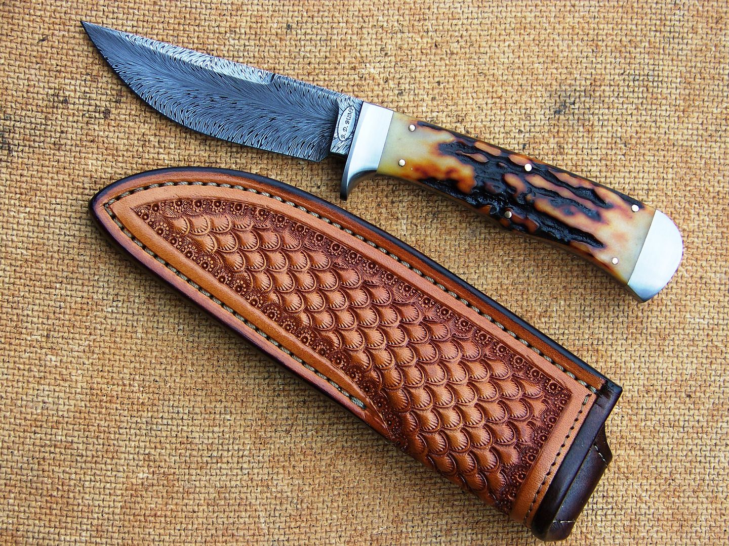 Tomsfeatherhunter003.jpg