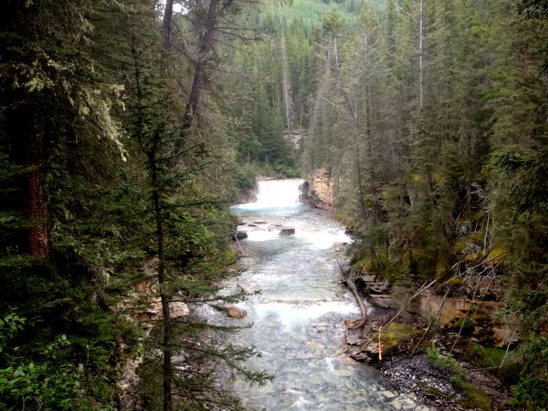 Banff2012266.jpg
