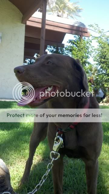 2011-09-01_12-18-19_762.jpg