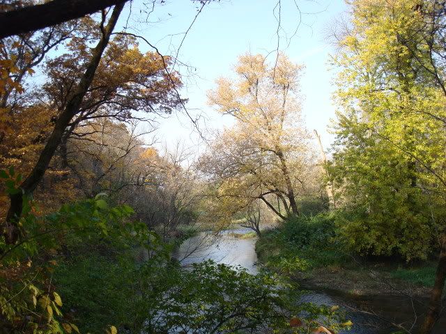 DSC00536.jpg