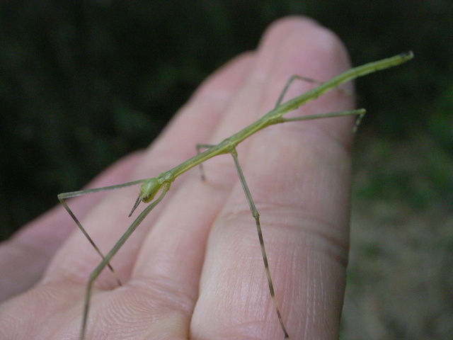 2011.05.30.R0024049.JPG