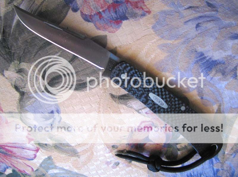 IMG_1092copy_zpsd734c8f5.jpg