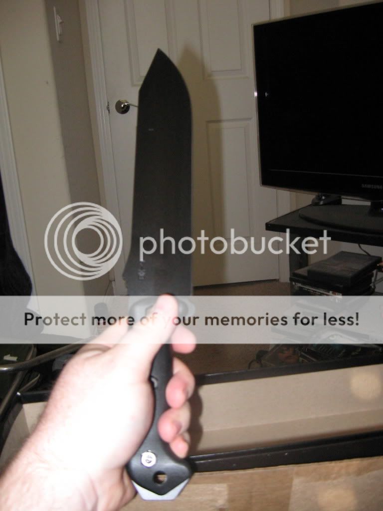 IMG_1254.jpg