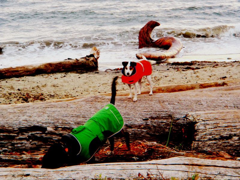 WittysLagoon2012007.jpg