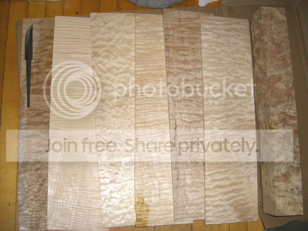 CIMG2266-1.jpg