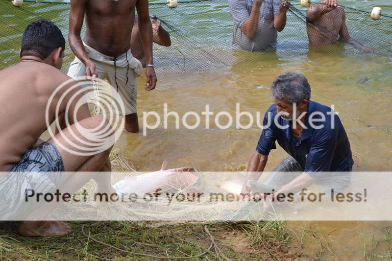 DSC_0219_zps43d14dd6.jpg