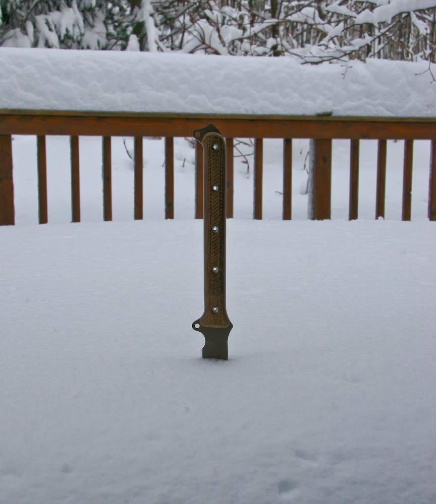 Snowstorm_1-27-11g.jpg