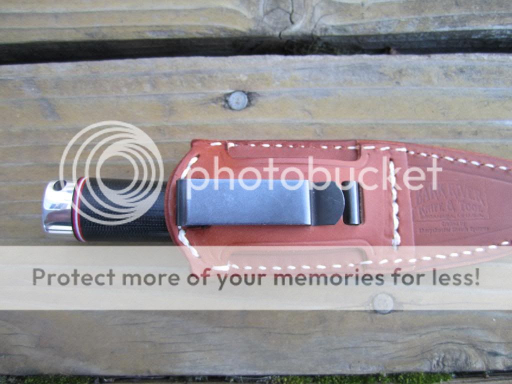 IMG_5229_zps8040a4d9.jpg