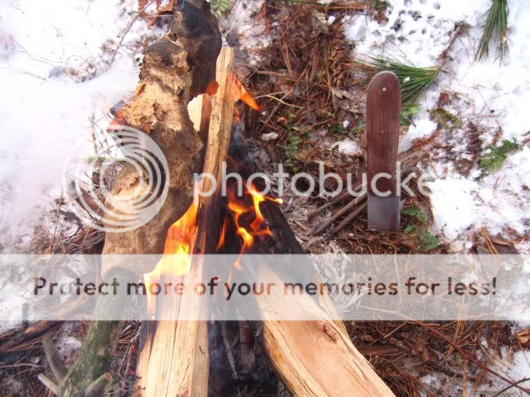 bannock.jpg