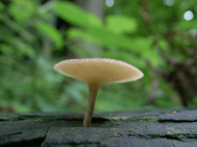 2011.05.18.R0023972.JPG
