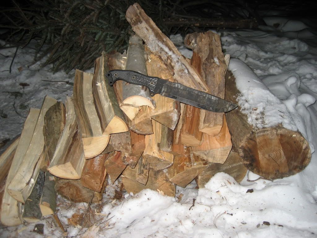 Picture001.jpg