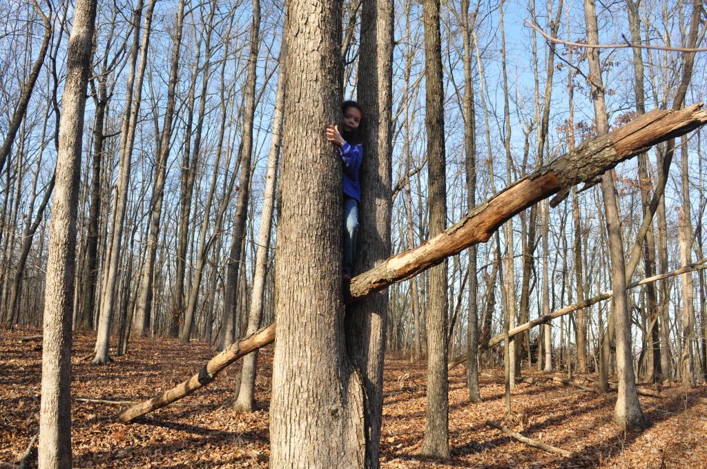 DSC_3987.jpg