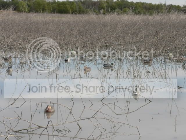 DuckHunting11-16-07.jpg