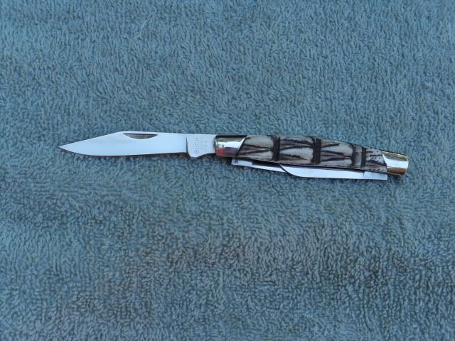 Dillo3032.jpg