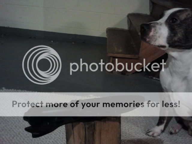 2012-01-14213420.jpg