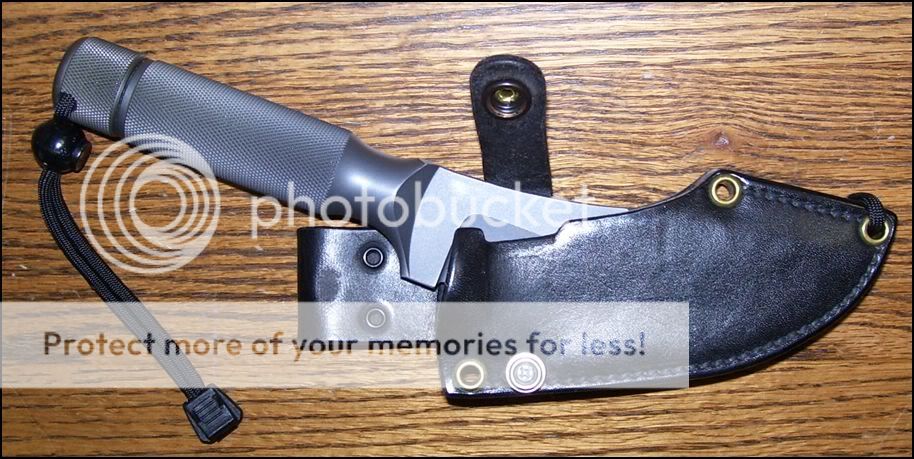 Skinner4.jpg