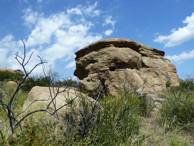 P1000230.jpg