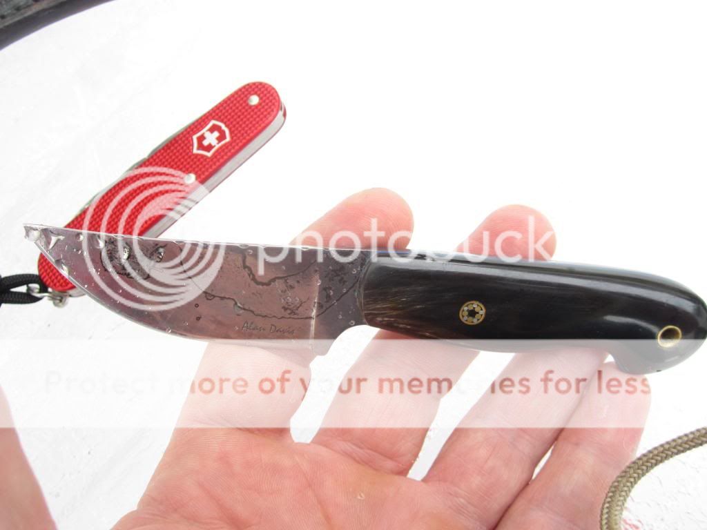 Alan3_zps30153ef2.jpg