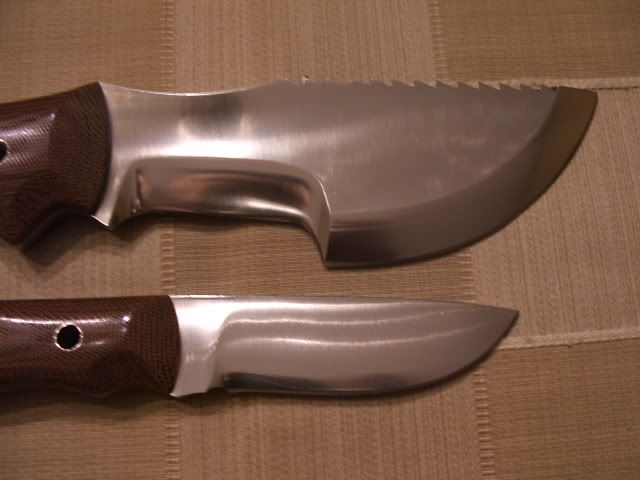 DSCF2465.jpg