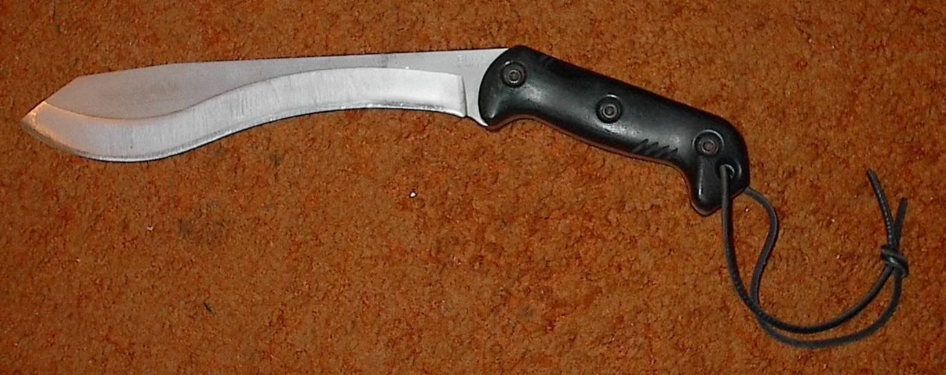 Machax.jpg