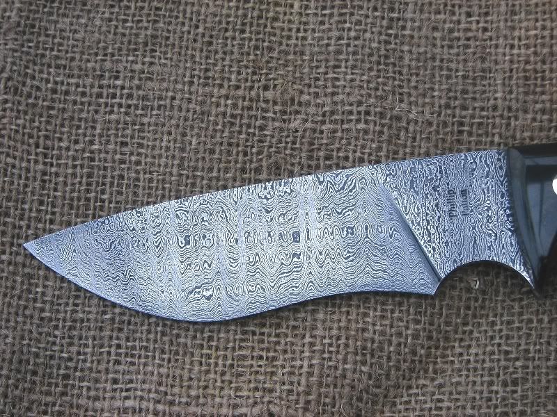 1159.jpg