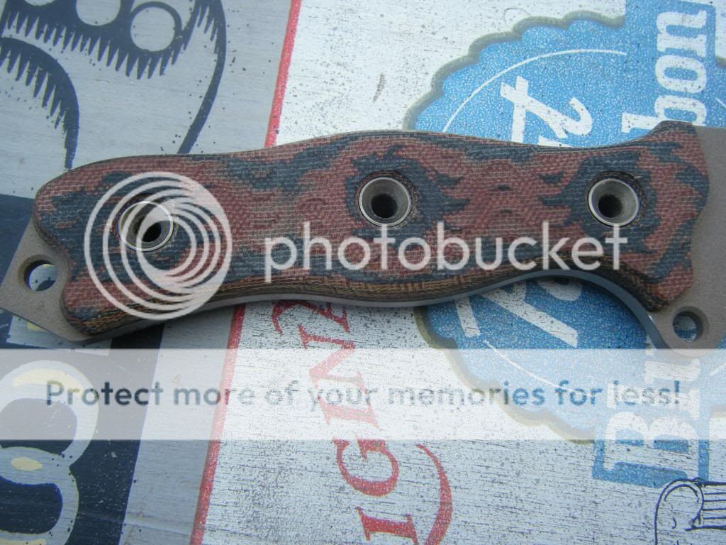 DSCF1569.jpg
