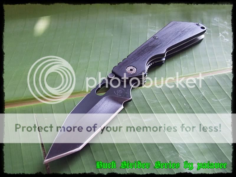 strider001-1.jpg