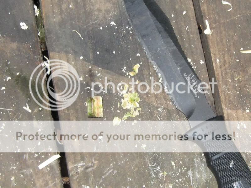 BambooProject-19.jpg