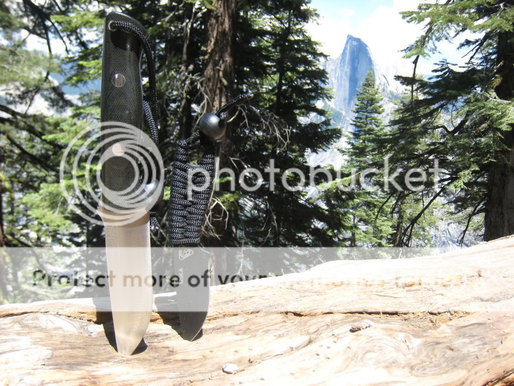 IMG_0514_small.jpg