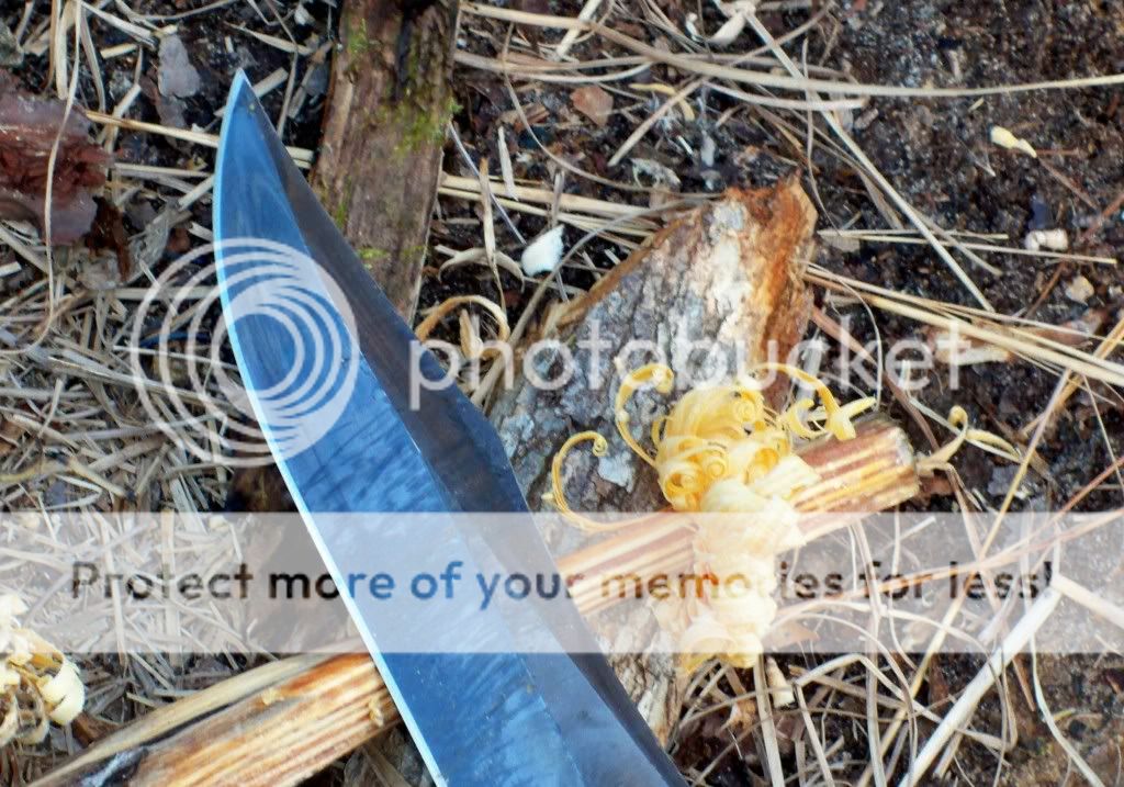 sog103.jpg
