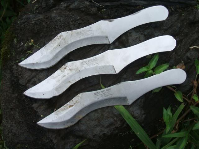 DSCF40842.jpg