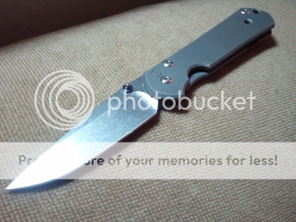 2010-11-26235129.jpg
