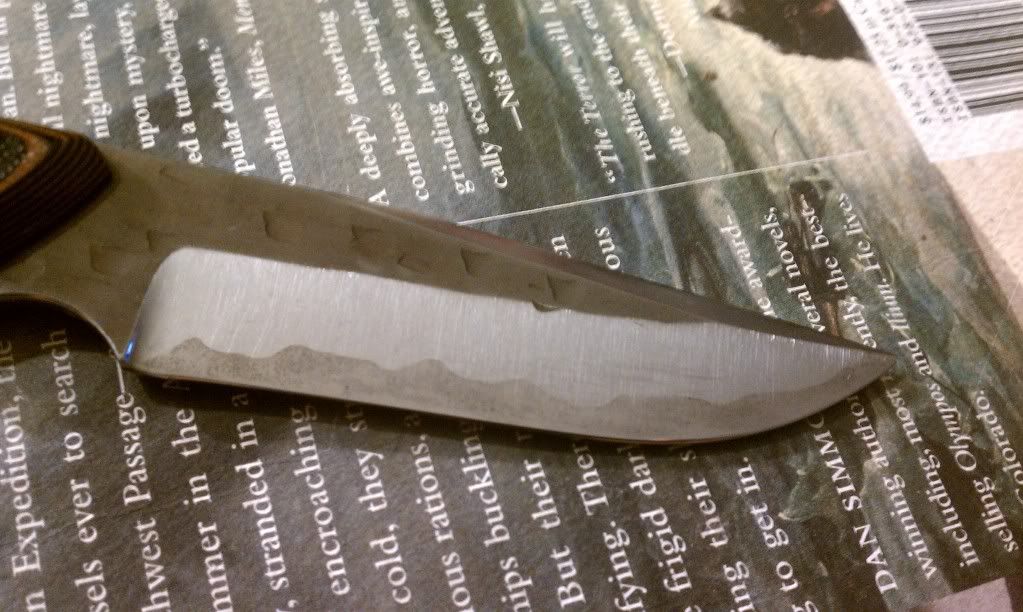 IMAG0103.jpg
