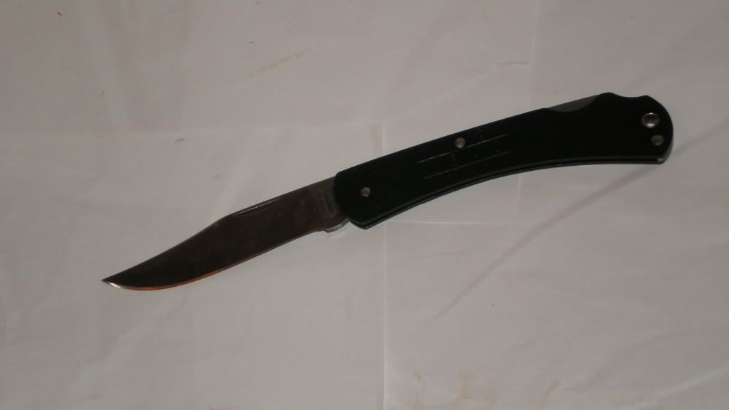 P1010002.jpg