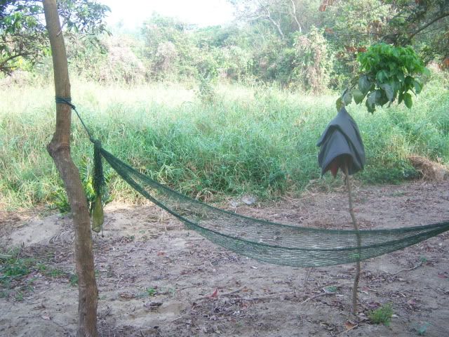 100_0696.jpg