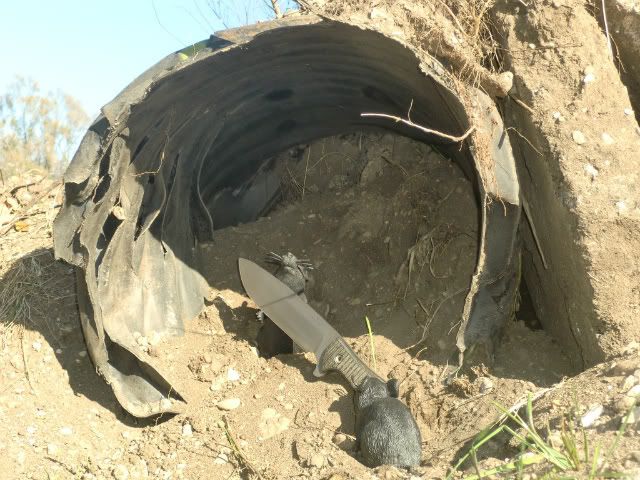 CIMG8406.jpg