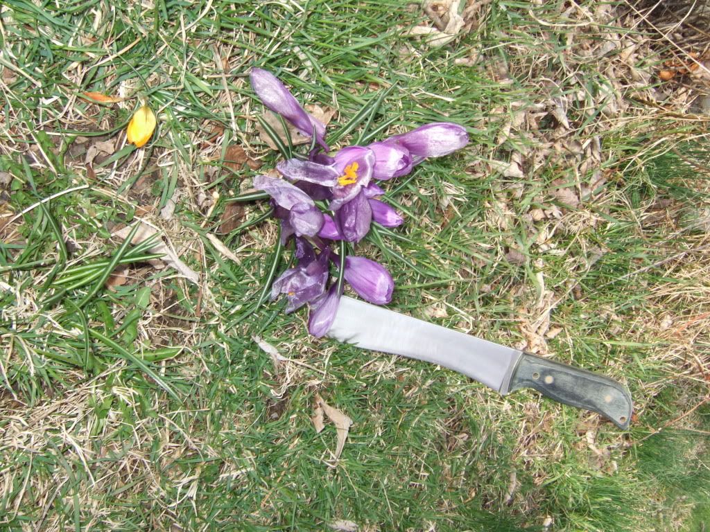 DSCF1055.jpg