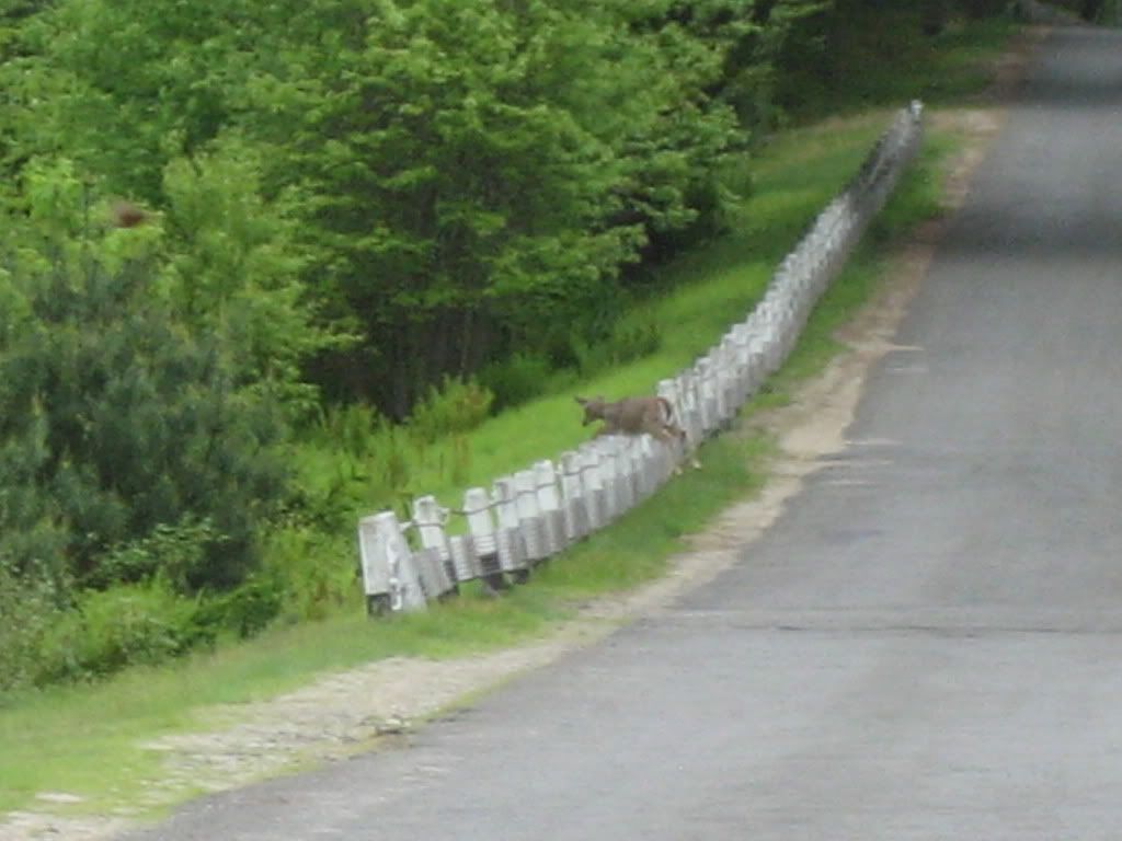 Picture104.jpg