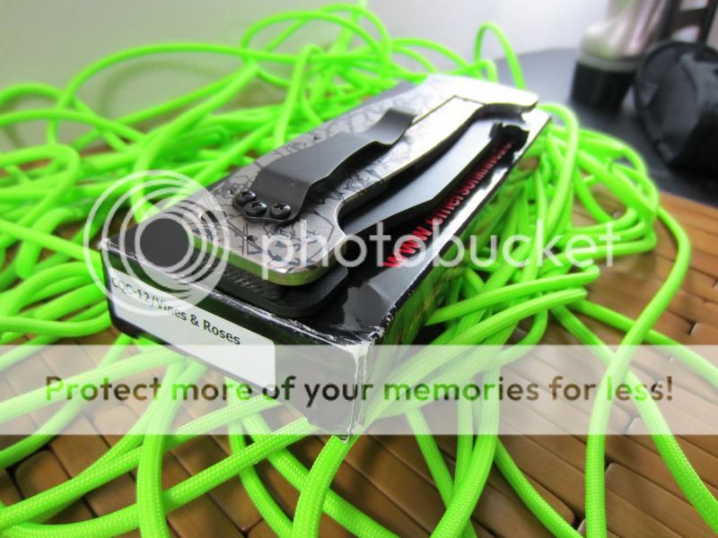 IMG_1348_zps78e6ed86.jpg