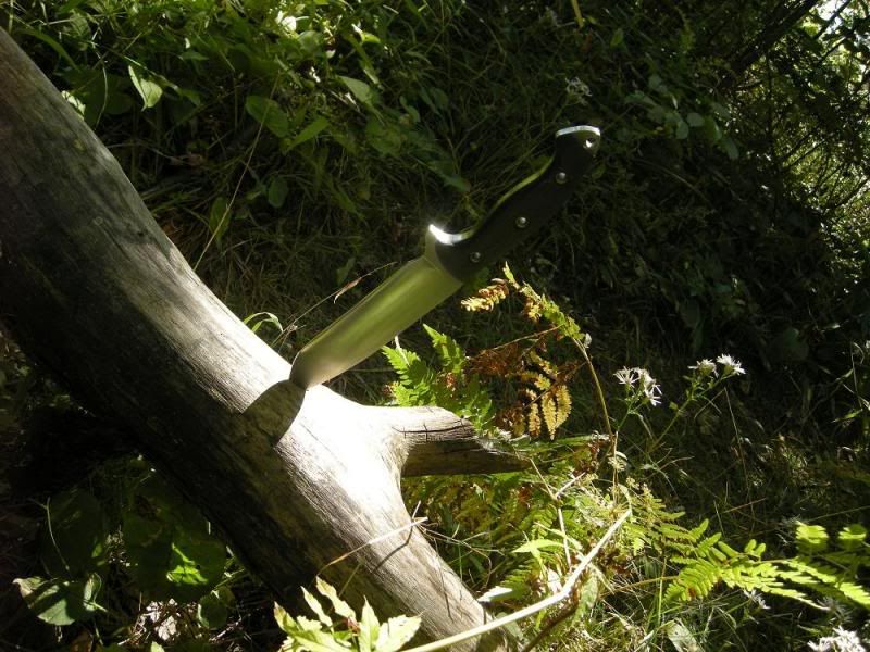 DSCN1526.jpg
