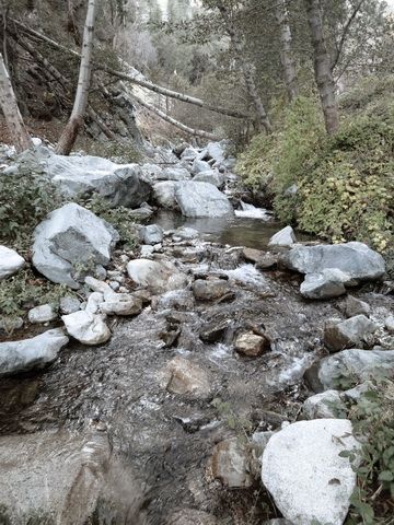 IMG_5442.jpg