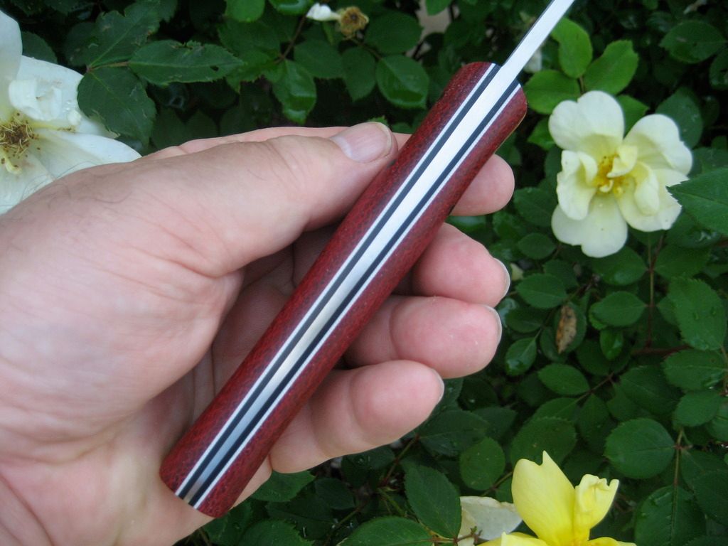 IMG_8735_zpsfvuczjf1.jpg