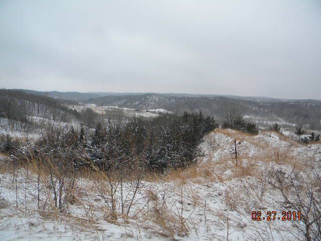 DSCN3423.jpg